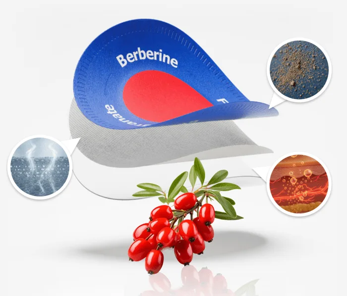 Purisaki Berberine Patch — Improved Formula Packaging